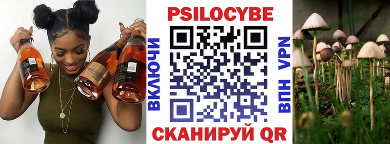 Купить где  Касимов  Псилоцибиновые грибы Psilocybe 